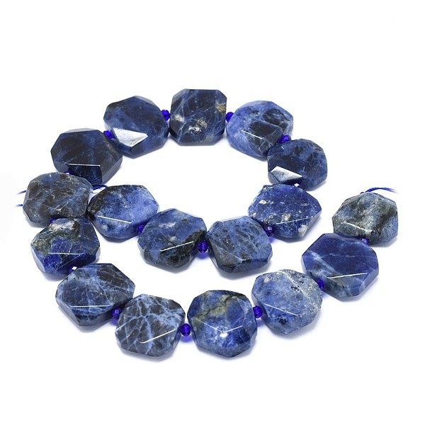 PandaHall Natural Sodalite Beads Strands, Faceted, Rectangle, 21~25x19.5~21x8.5~9mm, Hole: 1.8mm, about 17pcs/strand, 15.5''(39.4cm)...