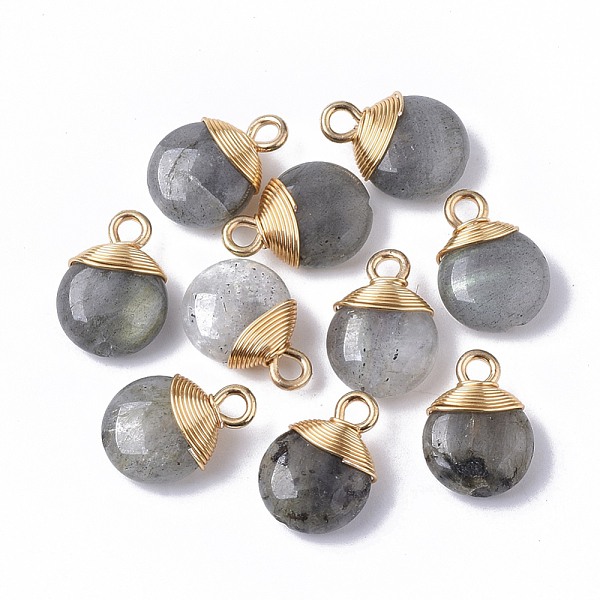 PandaHall Natural Labradorite Pendants, with Golden Tone Brass Wires and Iron Loops, Half Hole/Drilled, Flat Round, 14~15x10~11x5~6mm, Hole...