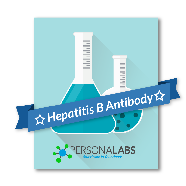Hepatitis B Core Antibody Blood Test